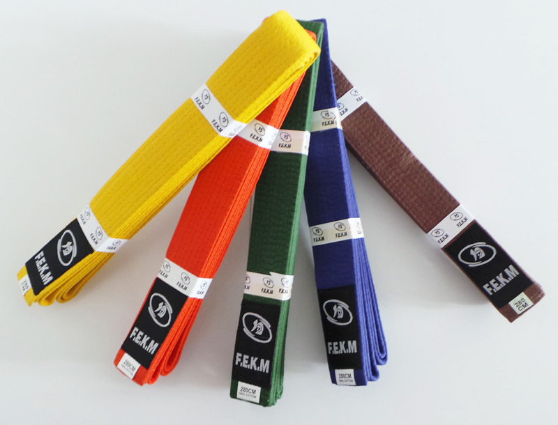 PASSAGES DE GRADES 2019